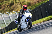 Lower Group White Bikes